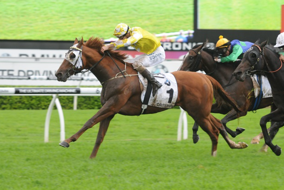 Turf pronostics || turfpronostics